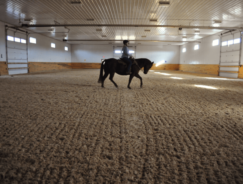Able-Bodied Riding Lessons