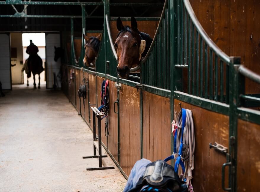 Meet The Discovery Riders Herd