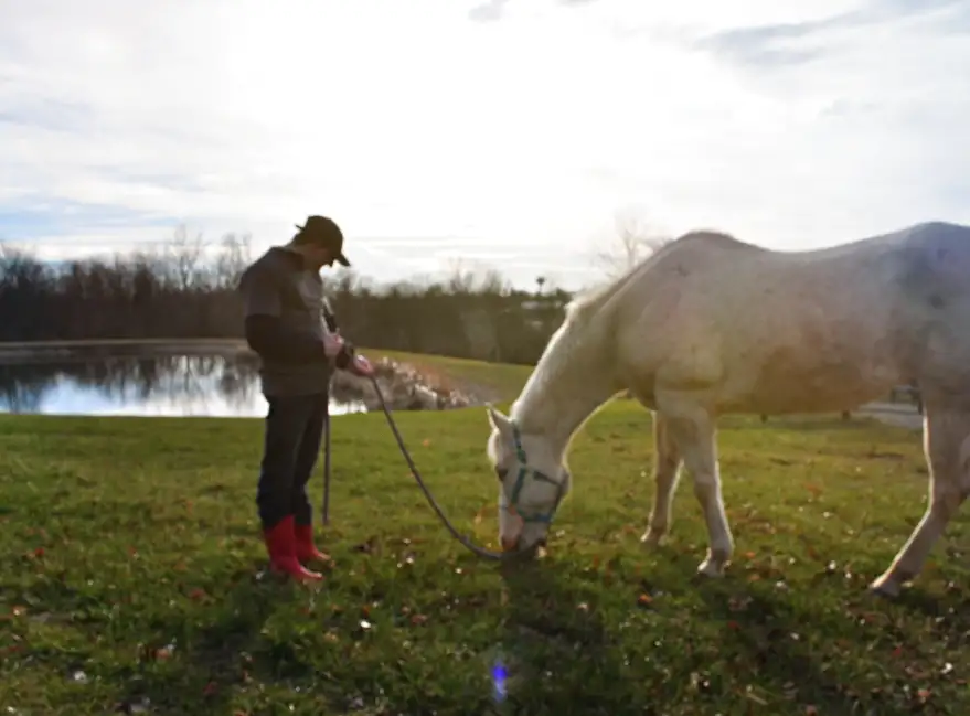 About Us Banner | Discovery Riders | Person with horse in fields