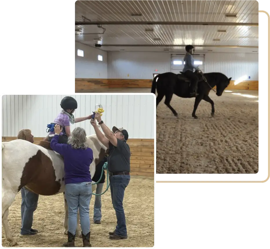 our therapy horses